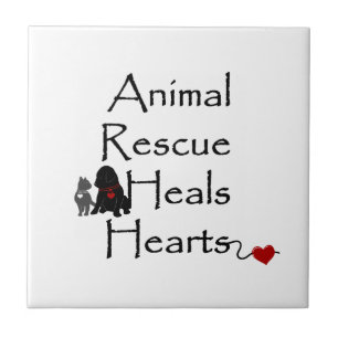 Carreau Animal Rescue Heals Coeurs Texte Animaux Secourt