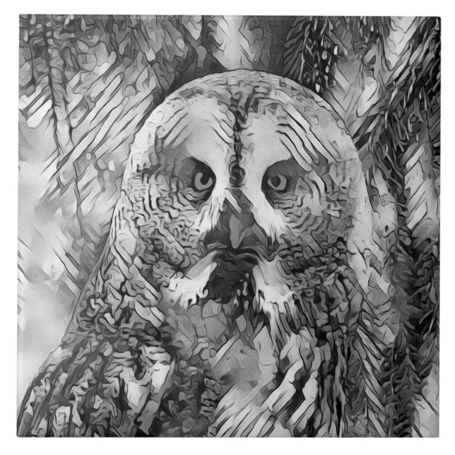Carreau AnimalArtBW_Owl_001 (Devant)