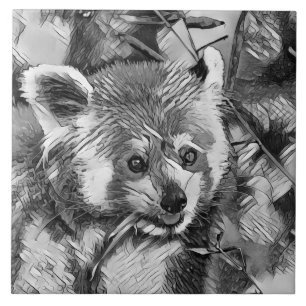 Carreau AnimalArtBW_RedPanda_003