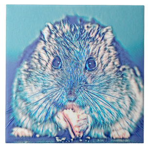 Carreau AnimalMix_Hamster_003