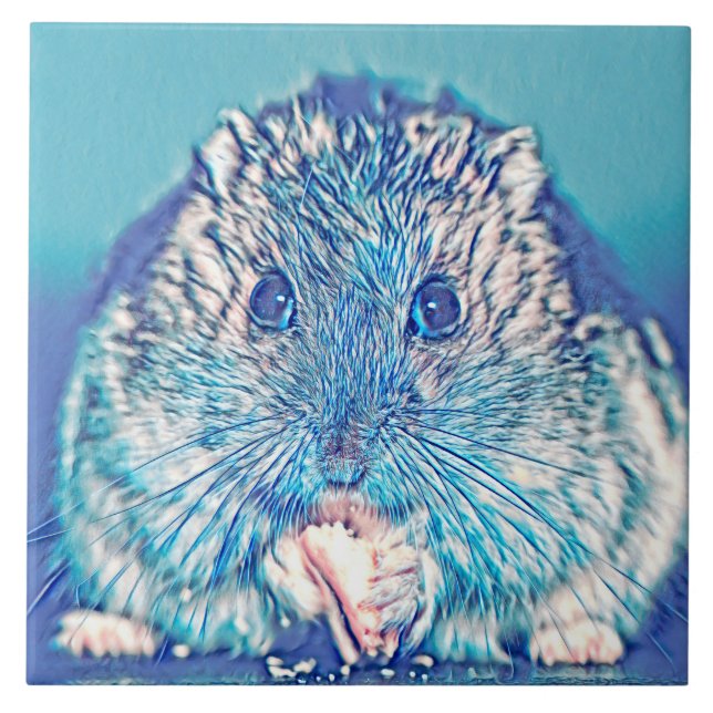 Carreau AnimalMix_Hamster_003 (Devant)