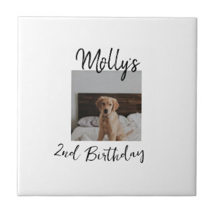 Carreau Animateur chien chat animal photo moderne simple