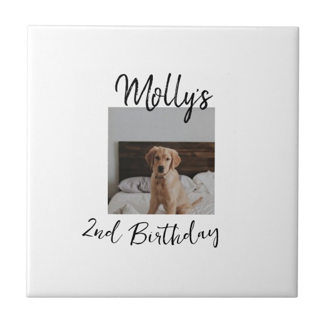 Carreau Animateur chien chat animal photo moderne simple (Devant)