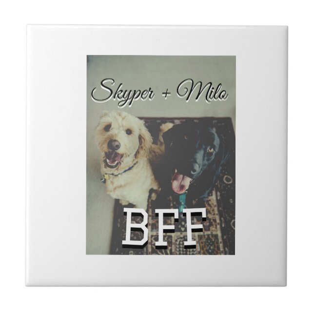 Carreau Animaux de compagnie amis besties ajouter nom anim (Devant)