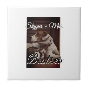 Carreau Animaux de compagnie amis besties ajouter nom anim