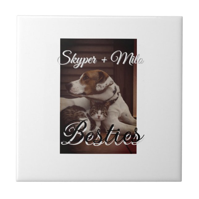 Carreau Animaux de compagnie amis besties ajouter nom anim (Devant)