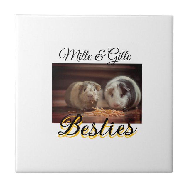 Carreau Animaux de compagnie amis besties ajouter nom anim (Devant)