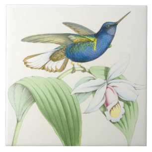 Carreau Animaux floraux de faune de fleurs d'oiseaux de