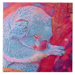 Carreau Animaux populaires - Koala