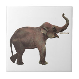 Carreau Animaux sauvages vintage, Éléphants d'Asie bonne c