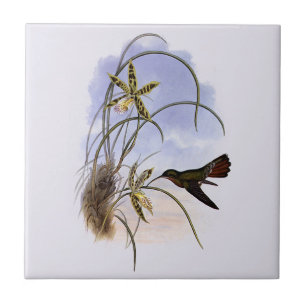 Carreau Animaux Vintage, Oiseaux Colibris Orchidées