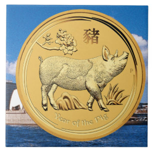 CARREAU ANNÉE D'OR DE LA PIÈCE DE MONNAIE DE PORC