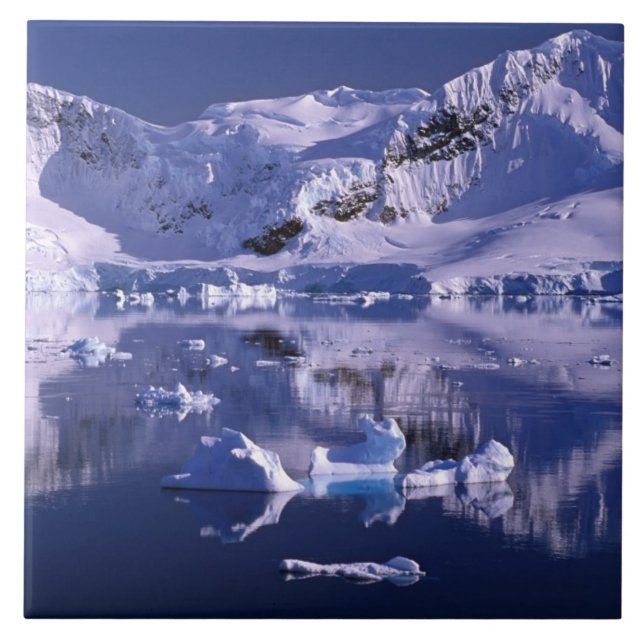 Carreau Antarctique, baie du Paradis (Devant)