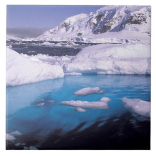 Carreau Antarctique. Expédition à travers les échappées de