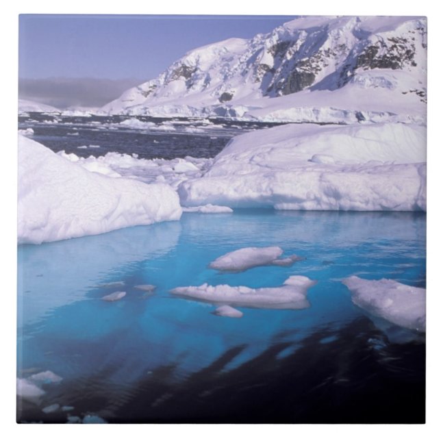 Carreau Antarctique. Expédition à travers les paysages de  (Devant)