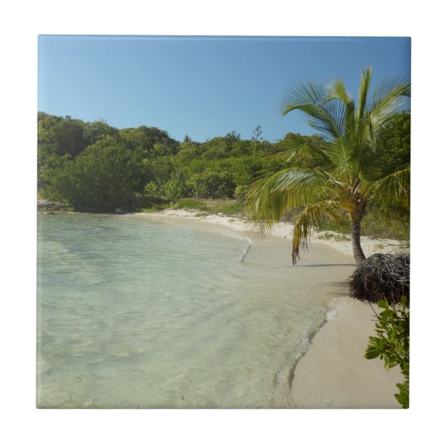 Carreau Antiguan Beach Beautiful Tropical Landscape (Devant)
