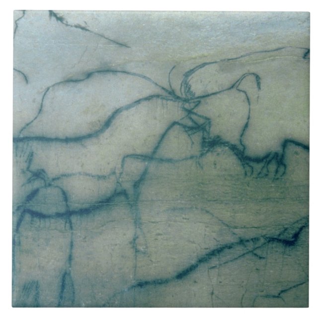 Carreau Antilope et bison, Perigordian (peinture de (Devant)