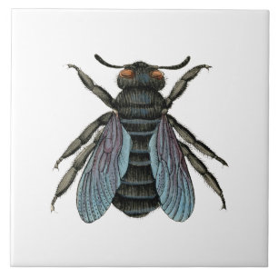 Carreau Antique Bee Typographie Vintage Honey Bees Art