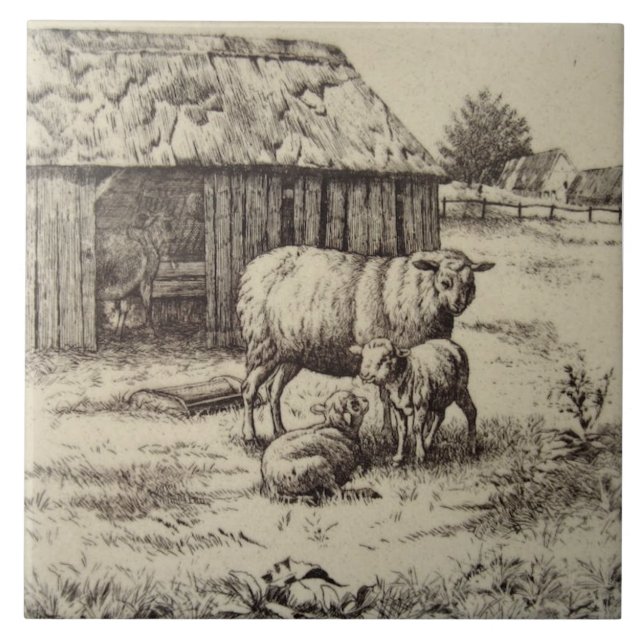 Carreau Antique Repro William Wise Sheep Famille Sepia (Devant)