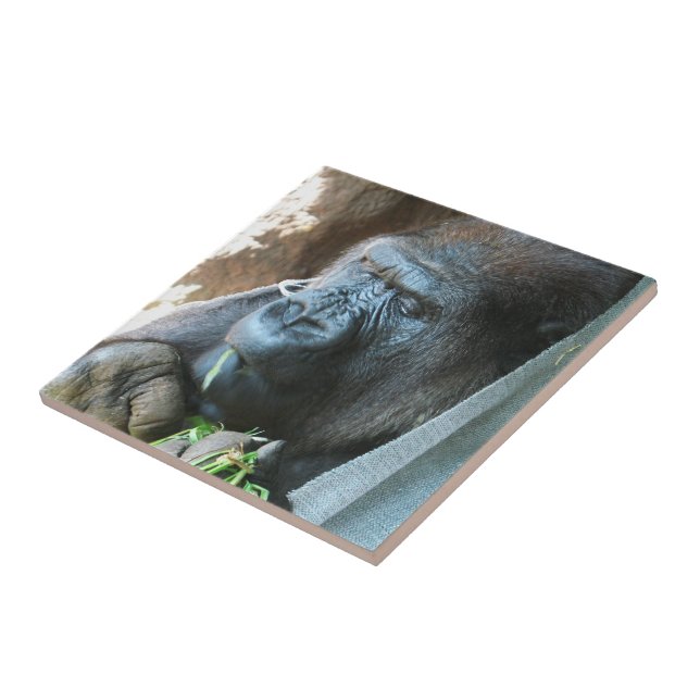 Carreau Ape hood ~ Japonais Gorilla Manger (Côté)