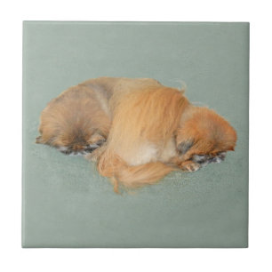 Carreau Après-midi endormi