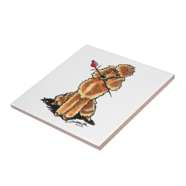 Carreau Apricot Poodle Coeur Valentines (Côté)