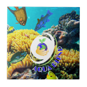 Carreau Aqua Blend