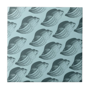 Carreau Aqua Turquoise Blue Sea Shells