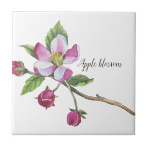 Carreau Aquarelle Apple Blossom Botanique