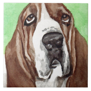 Carreau Aquarelle Basset
