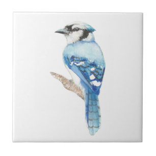 Carreau Aquarelle Blue Jay Bird Art