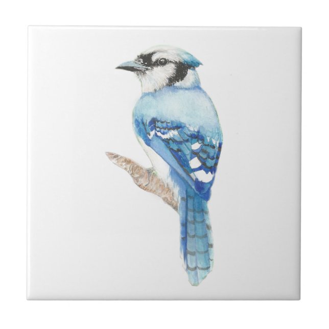 Carreau Aquarelle Blue Jay Bird Art (Devant)