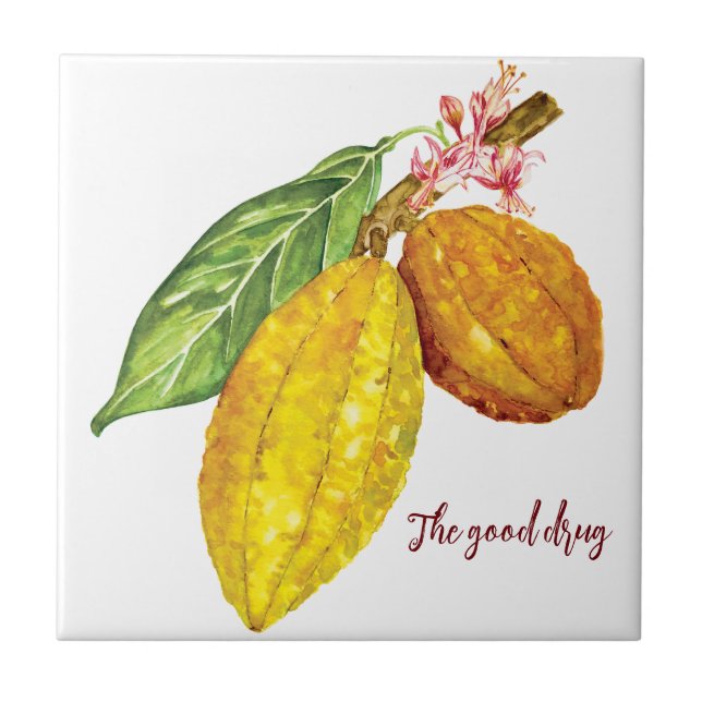 Carreau Aquarelle chocolat fruit (Devant)