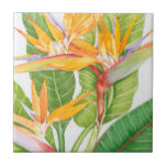 Carreau Aquarelle de fleurs exotiques<br><div class="desc">Fleurs exotiques Aquarelle Artiste : Tim OToole</div>