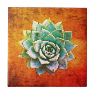 Carreau Aquarelle de succulente sur rouille orange