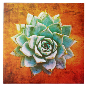 Carreau Aquarelle de succulente sur rouille orange