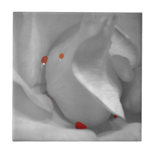 Carreau Aquarelle Éolienne Carrelage décoratif