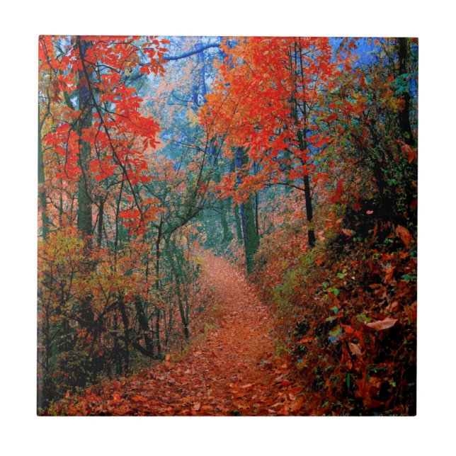 Carreau aquarelle Flamme d'automne de la Forêt Pei (Devant)