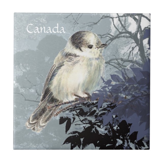 Carreau Aquarelle Gris, Gris ou Canada Jay National Bird (Devant)