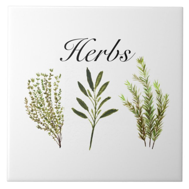Carreau Aquarelle Herbes Thyme Rosemary Sage Plante Pot (Devant)