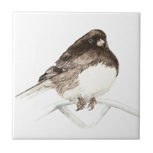 Carreau Aquarelle Junco Bird Art