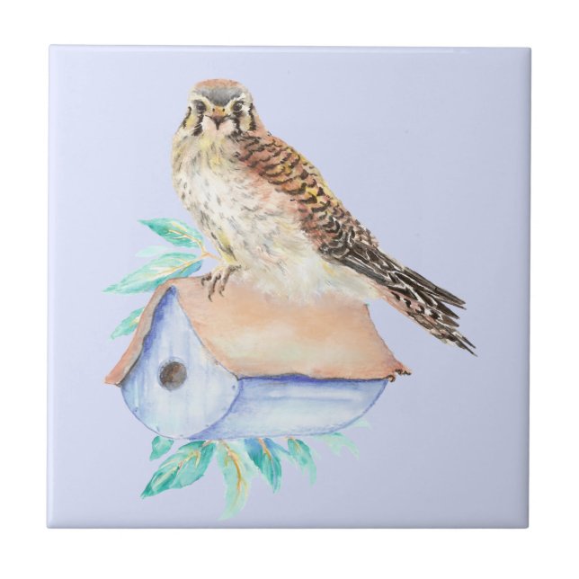 Carreau Aquarelle Kestrel Sparrow Hawk Bird (Devant)