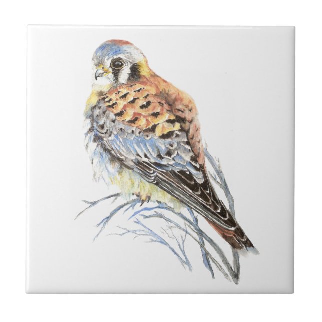 Carreau Aquarelle Kestrel Sparrow Hawk Oiseau Faune Art (Devant)