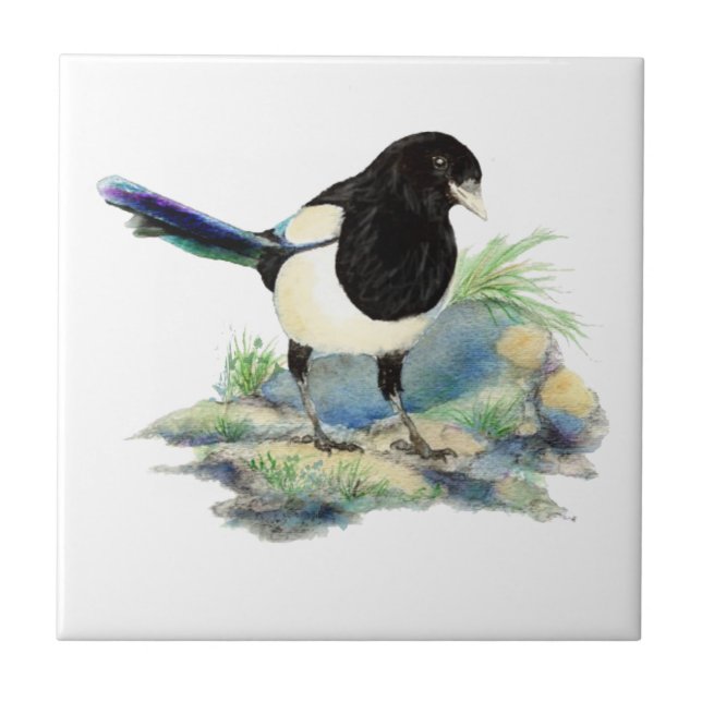 Carreau Aquarelle Magpie Bird Vous regardant (Devant)