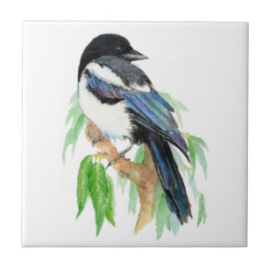 Carreau Aquarelle Magpie Jardin Oiseau