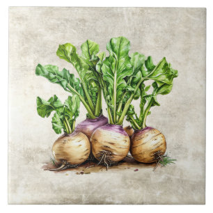 Carreau Aquarelle Navets Rústiques Faux Texture 