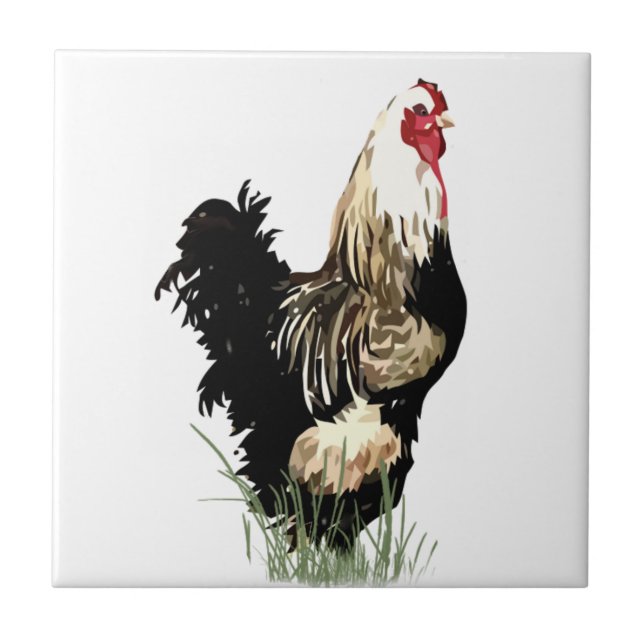 Carreau Aquarelle Noir et Blanc Rooster Bird Poulet (Devant)