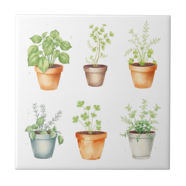 Carreau Aquarelle Poted Herbs sur Arrière - plan crème (Devant)