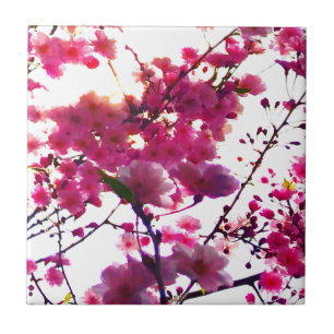 Carreau Aquarelle rose ressort floral   Arbre à fleurs