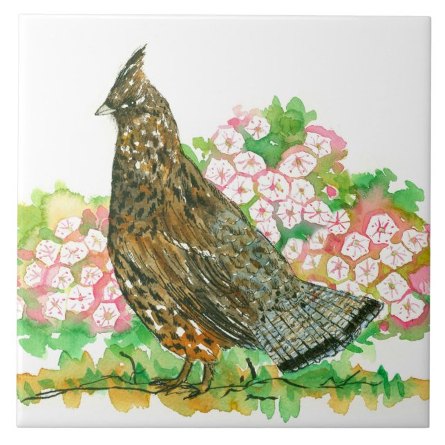 Carreau Aquarelle Rouffée Groupement Gamme Oiseau Laurel (Devant)